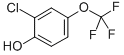 2-CHLORO-4-TRIFLUOROMETHOXYPHENOL CAS#: 70783-75-4
