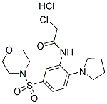2-CHLORO-N-[5-(MORPHOLIN-4-YLSULFONYL)-2-PYRROLIDIN-1-YLPHENYL]ACETAMIDE HYDROCHLORIDE CAS#: 1171052-28-0