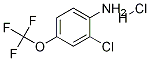 2-Chloro-4-(trifluoromethoxy)aniline, HCl CAS#: 1187386-31-7