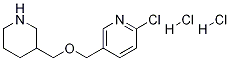 2-Chloro-5-(piperidin-3-ylmethoxymethyl)-pyridine dihydrochloride CAS#: 1185316-47-5