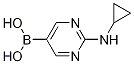 2-(CyclopropylaMino)pyriMidine-5-boronic acid CAS#: 1312942-14-5