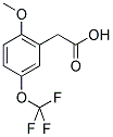 2-(METHOXY)-5-(TRIFLUOROMETHOXY)PHENYLACETIC ACID CAS#: 1261647-11-3