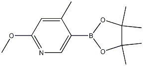 2-Methoxy-4-methyl-5-(4,4,5,5-tetramethyl-[1,3,2]dioxaborolan-2-yl)-pyridine CAS#: 1093951-66-6