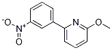 2-Methoxy-6-(3-nitrophenyl)pyridine CAS#: 1313359-04-4