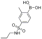 2-Methyl-4-(N-propylsulfamoyl)phenylboronic acid CAS#: 1217501-47-7