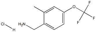 (2-Methyl-4-(trifluoroMethoxy)phenyl)MethanaMine hydrochloride CAS#: 1229625-05-1