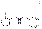 (2-Methyl-benzyl)-pyrrolidin-2-ylMethyl-aMine hydrochloride CAS#: 1289387-80-9