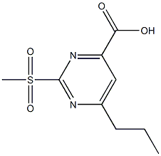 2-(Methylsulfonyl)-6-propylpyriMidine-4-carboxylic acid CAS#: 1150644-56-6