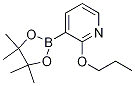 2-PROPOXYPYRIDINE-3-BORONIC ACID PINACOL ESTER CAS#: 1073371-87-5