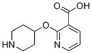 2-(Piperidin-4-yloxy)inicotinic  acid CAS#: 1086392-90-6