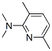 2-Pyridinamine,  N,N,3,6-tetramethyl- CAS#: 72184-24-8