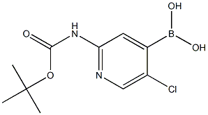 2-(TERT-BUTOXYCARBONYLAMINO)-5-CHLOROPYRIDIN-4-YLBORONIC ACID CAS#: 1222522-36-2