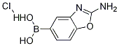 2-aminobenzo[d]oxazol-5-ylboronic acid hydrochloride CAS#: 1224844-65-8