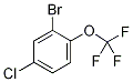 2-bromo-4-chloro-1-(trifluoromethoxy)benzene CAS#: 1260810-00-1