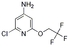 2-chloro-6-(2,2,2-trifluoroethoxy)pyridin-4-amine CAS#: 1346809-43-5