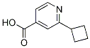 2-cyclobutylisonicotinic acid CAS#: 1369158-34-8