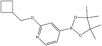 2-(cyclobutylmethoxy)-4-(4,4,5,5-tetramethyl-1,3,2-dioxaborolan-2-yl)pyridine CAS#: 1346708-00-6