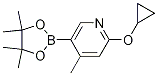 2-cyclopropoxy-4-Methyl-5-(4,4,5,5-tetraMethyl-1,3,2-dioxaborolan-2-yl)pyridine CAS#: 1354910-96-5