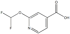 2-(difluoroMethoxy)isonicotinic acid CAS#: 1211581-51-9