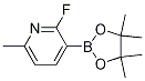 2-fluoro-6-Methyl-3-(4,4,5,5-tetraMethyl-1,3,2-dioxaborolan-2-yl)pyridine CAS#: 1218790-38-5