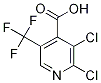 2,3-Dichloro-5-(trifluoromethyl)isonicotinic acid CAS#: 1135283-33-8