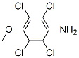 2,3,5,6-Tetrachloro-4-methoxyaniline CAS#: 70439-96-2