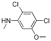 2,4-DICHLORO-5-METHOXY-N-METHYLANILINE CAS#: 1072945-55-1