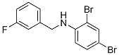 2,4-DibroMo-N-(3-fluorobenzyl)aniline, 97% CAS#: 1152882-86-4
