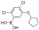 2,4-Dichloro-5-(cyclopentyloxy)phenylboronic acid CAS#: 1256354-90-1