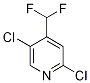 2,5-Dichloro-4-(difluoromethyl)pyridine CAS#: 1374659-30-9