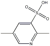 2,5-Dimethylpyridine-3-sulfonic acid CAS#: 1160993-89-4