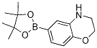 2H-1,4-Benzoxazine, 3,4-dihydro-6-(4,4,5,5-tetramethyl-1,3,2-dioxaborolan-2-yl)- CAS#: 1155264-46-2