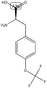 (2R)-2-AMINO-3-[4-(TRIFLUOROMETHOXY)PHENYL]PROPANOIC ACID CAS#: 1241677-90-6