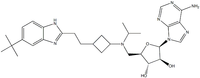 (2R,3R,4S,5R)-2-(6-aMino-9H-purin-9-yl)-5-((((1r,3S)-3-(2-(5-(tert-butyl)-1H-benzo[d]iMidazol-2-yl)ethyl)cyclobutyl)(isopropyl)aMino)Methyl)tetrahydrofuran-3,4-diol CAS#: 1380288-88-9