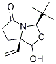 3-(1,1-diMethylethyl)-7a-ethenyltetrahydro-1-hydroxy-(3R,7aR)-3H,5H-Pyrrolo[1,2-c]oxazol-5-one CAS#: 1214741-21-5