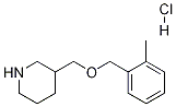 3-{[(2-Methylbenzyl)oxy]methyl}piperidinehydrochloride CAS#: 1185303-83-6