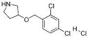 3-[(2,4-Dichlorobenzyl)oxy]pyrrolidinehydrochloride CAS#: 1220033-11-3