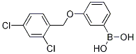 3-(2,4-DichlorophenylMethoxy)phenylboronic acid CAS#: 1256355-73-3