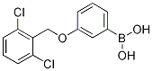 3-(2,6-dichlorophenylMethoxy)phenylboronic acid CAS#: 1256355-68-6