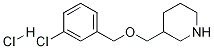 3-{[(3-Chlorobenzyl)oxy]methyl}piperidinehydrochloride CAS#: 1185296-31-4