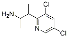 3-(3,5-DICHLOROPYRIDIN-2-YL)BUTAN-2-AMINE CAS#: 1341676-22-9