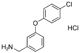 [3-(4-CHLOROPHENOXY)PHENYL]METHYLAMINEHYDROCHLORIDE CAS#: 1171023-50-9