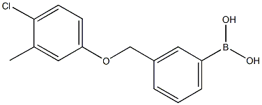 3-[(4-Chloro-3-methylphenoxy)methyl]phenylboronic acid CAS#: 1072951-91-7
