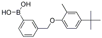 3-[(4'-TERT-BUTYL-2'-METHYLPHENOXY)METHYL]PHENYLBORONIC ACID CAS#: 1072951-66-6