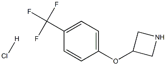 3-[4-(TrifluoroMethyl)phenoxy]azetidine HCl CAS#: 1236862-38-6