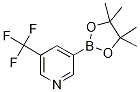 3-(4,4,5,5-TetraMethyl-[1,3,2]dioxaborolan-2-yl)-5-trifluoroMethyl-pyridine CAS#: 1084953-47-8