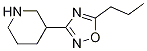 3-(5-Propyl-[1,2,4]oxadiazol-3-yl)-piperidine CAS#: 1270744-79-0