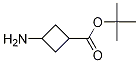 3-Aminocyclobutanecarboxylic  acid  tert-butyl  ester CAS#: 1173205-83-8