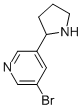 3-BROMO-5-(2-PYRROLIDINYL)PYRIDINE CAS#: 71719-06-7