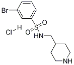 3-BroMo-N-piperidin-4-ylMethyl-benzenesulfonaMide hydrochloride CAS#: 1353952-00-7